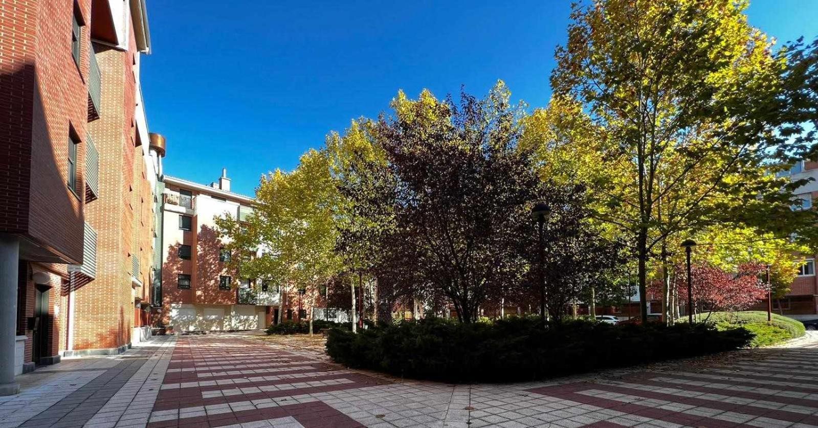 Luminoso Y Acogedor Apartamento En Las Villas Valladolid Bagian luar foto